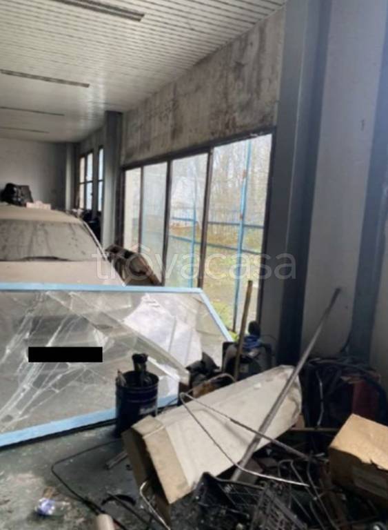 immagine annuncio 5 di 11