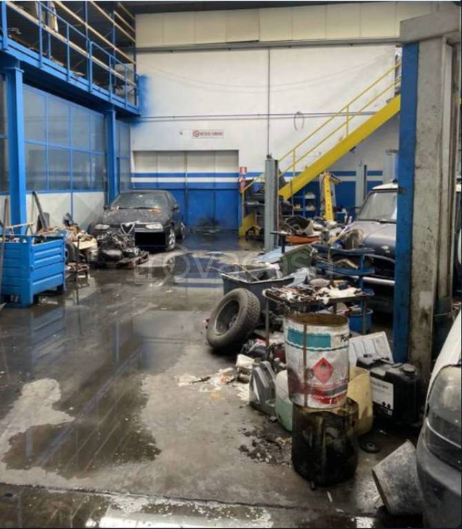 immagine annuncio 8 di 11