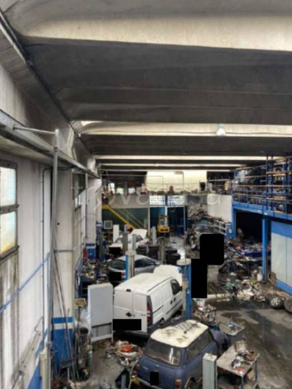 immagine annuncio 9 di 11