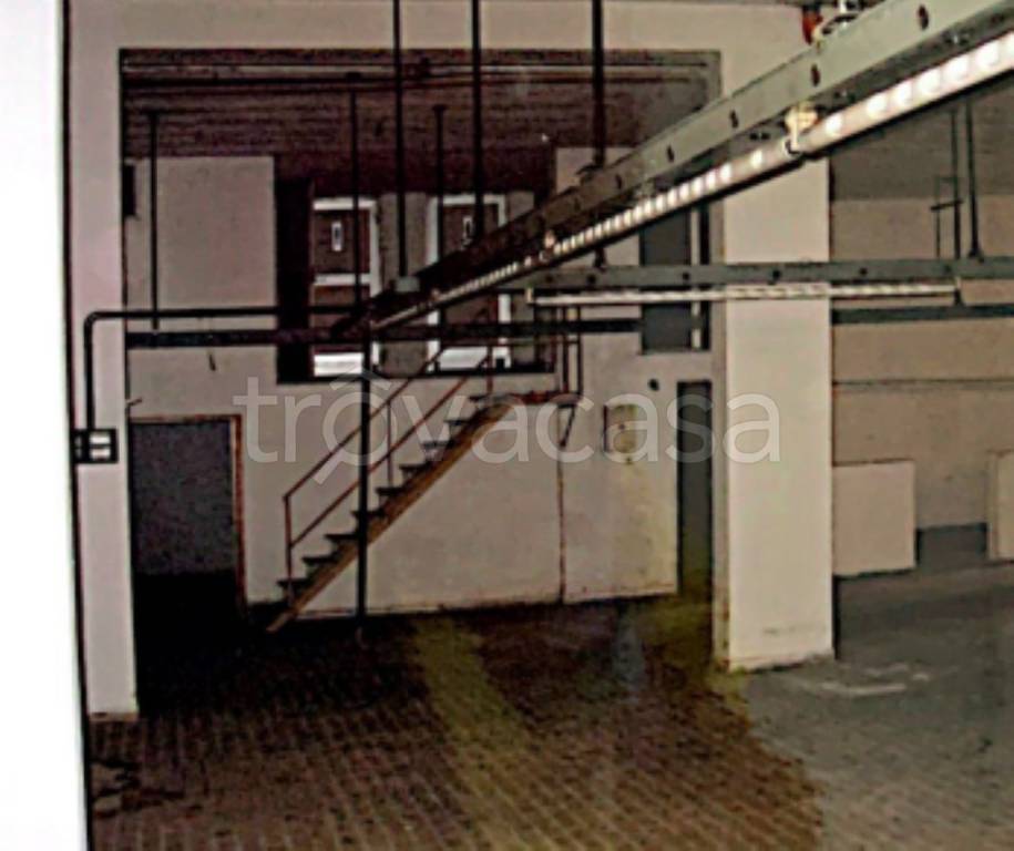 immagine annuncio 9 di 13