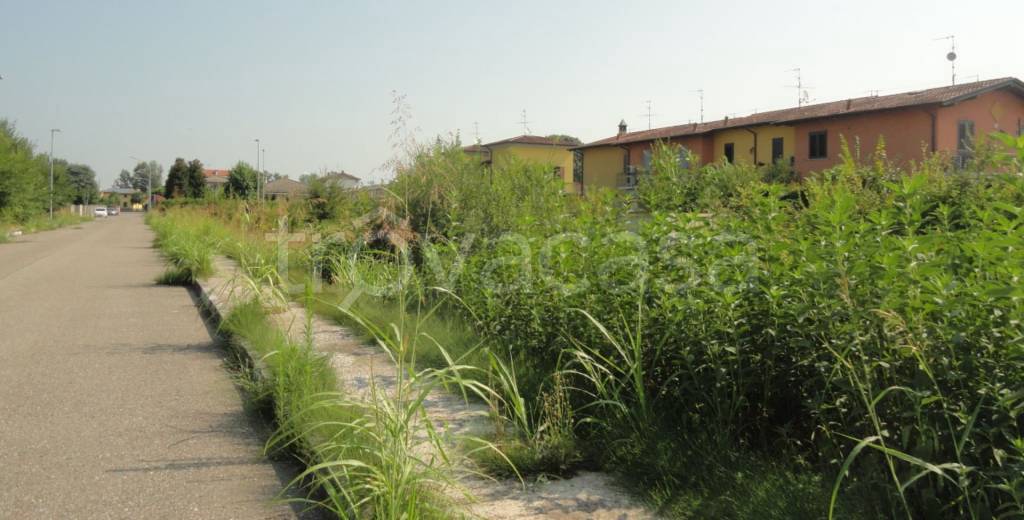 immagine annuncio 1 di 11