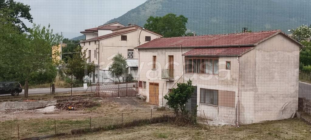 immagine annuncio 1 di 2