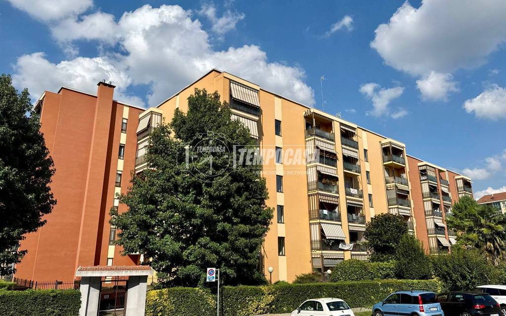 immagine annuncio 1 di 15