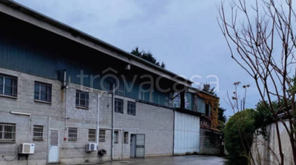 immagine annuncio 9 di 10