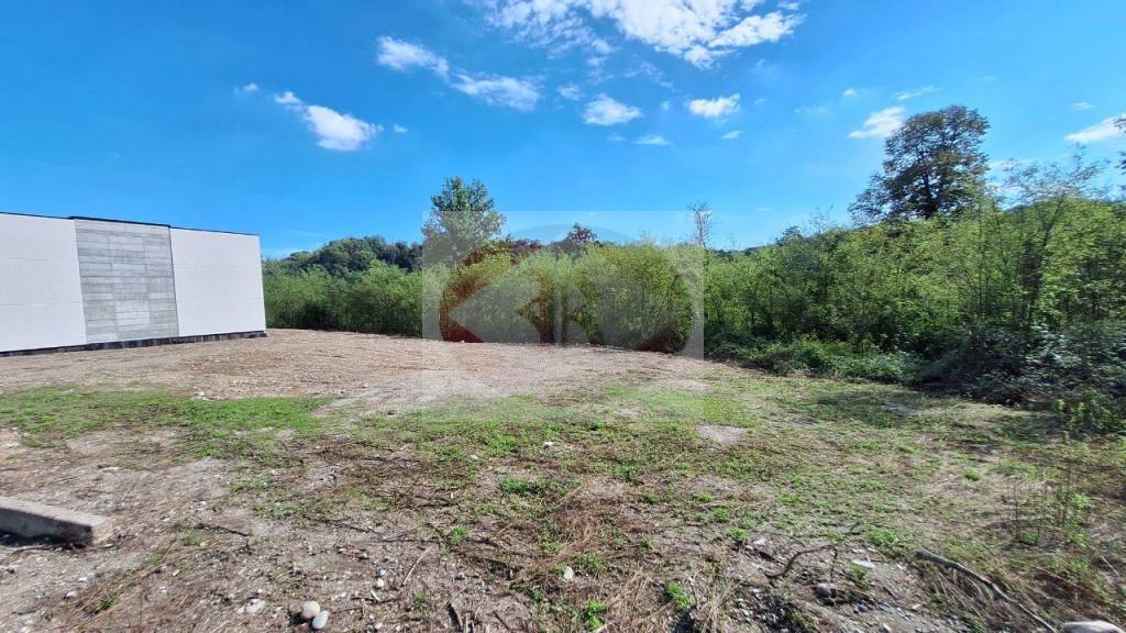 immagine annuncio 4 di 6