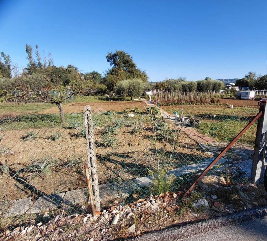 immagine annuncio 1 di 2