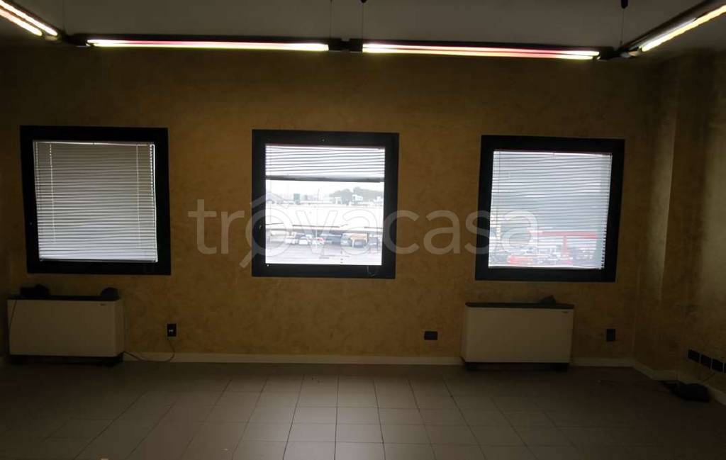immagine annuncio 6 di 8