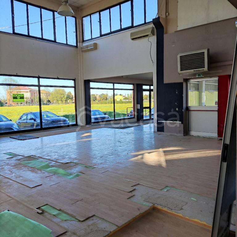 immagine annuncio 3 di 6