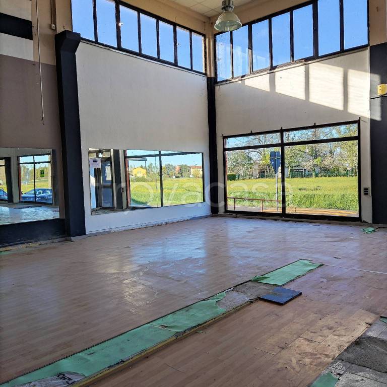 immagine annuncio 4 di 6