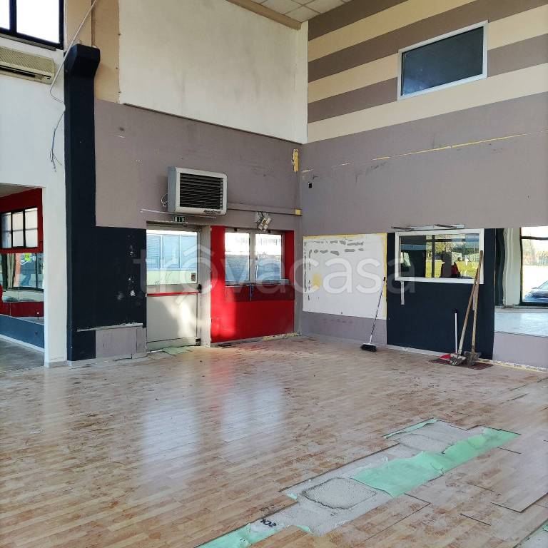 immagine annuncio 5 di 6