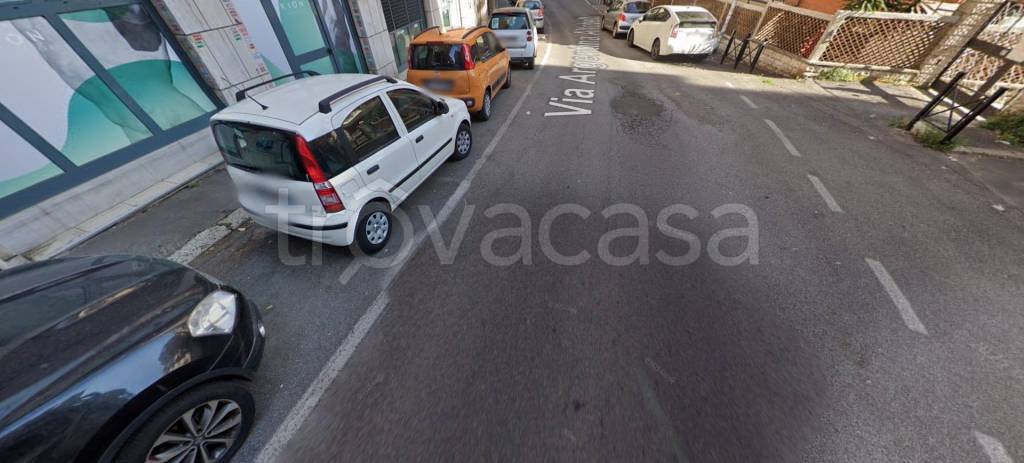 immagine annuncio 3 di 14