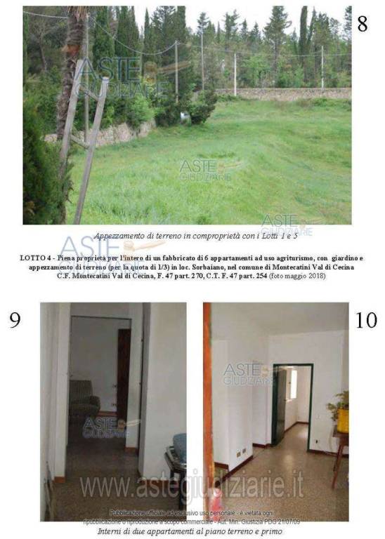 immagine annuncio 2 di 8