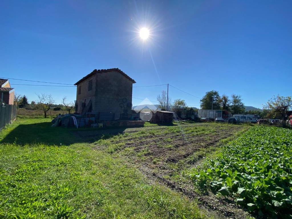 immagine annuncio 11 di 15
