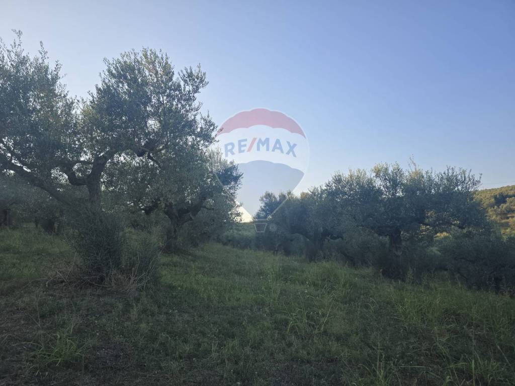 immagine annuncio 5 di 6