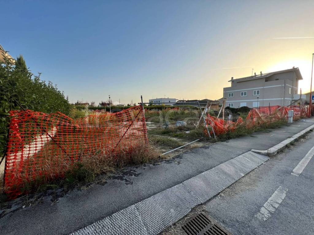 immagine annuncio 3 di 6