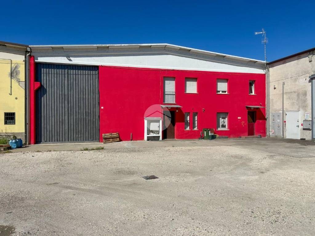 immagine annuncio 2 di 15