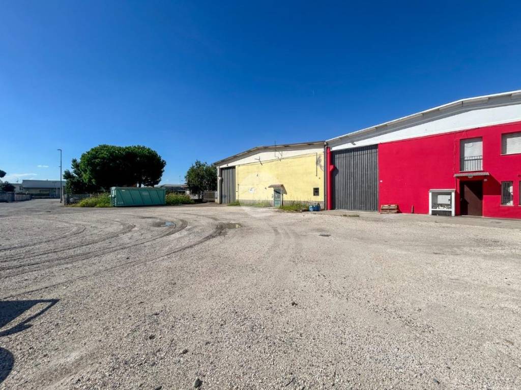 immagine annuncio 6 di 15