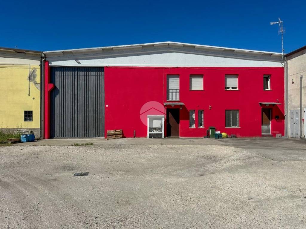 immagine annuncio 7 di 15