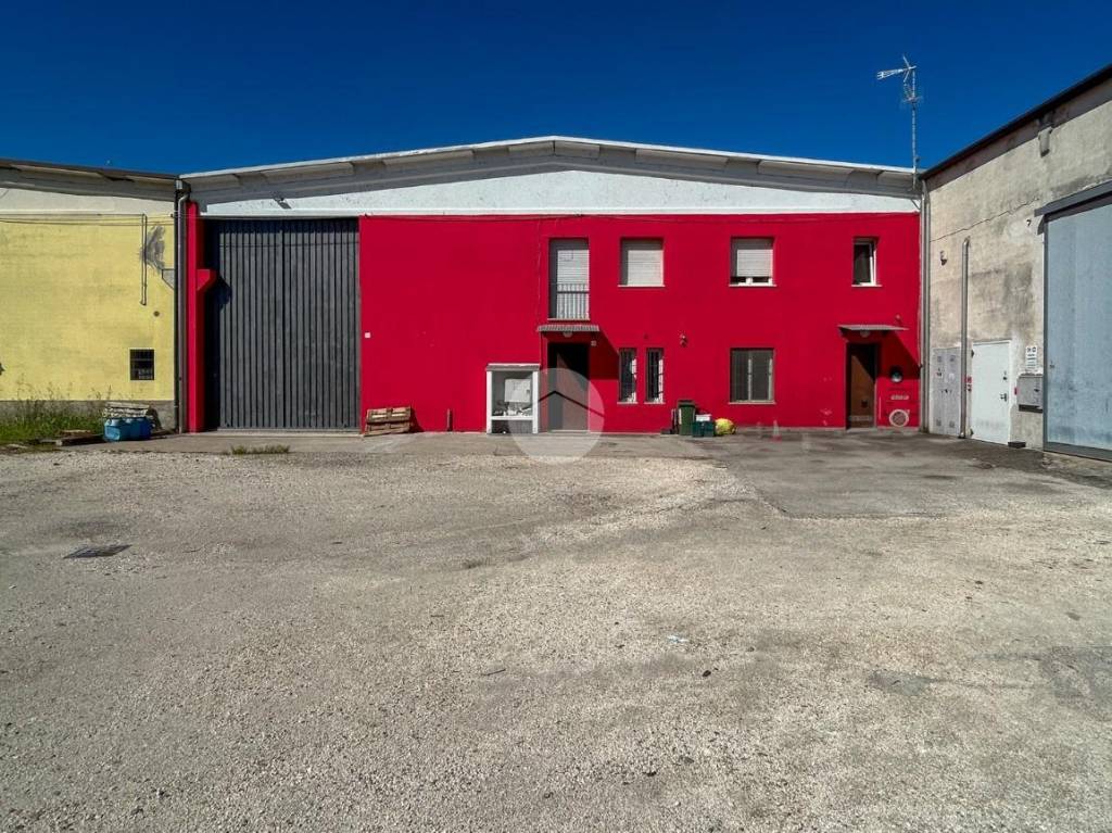 immagine annuncio 8 di 15