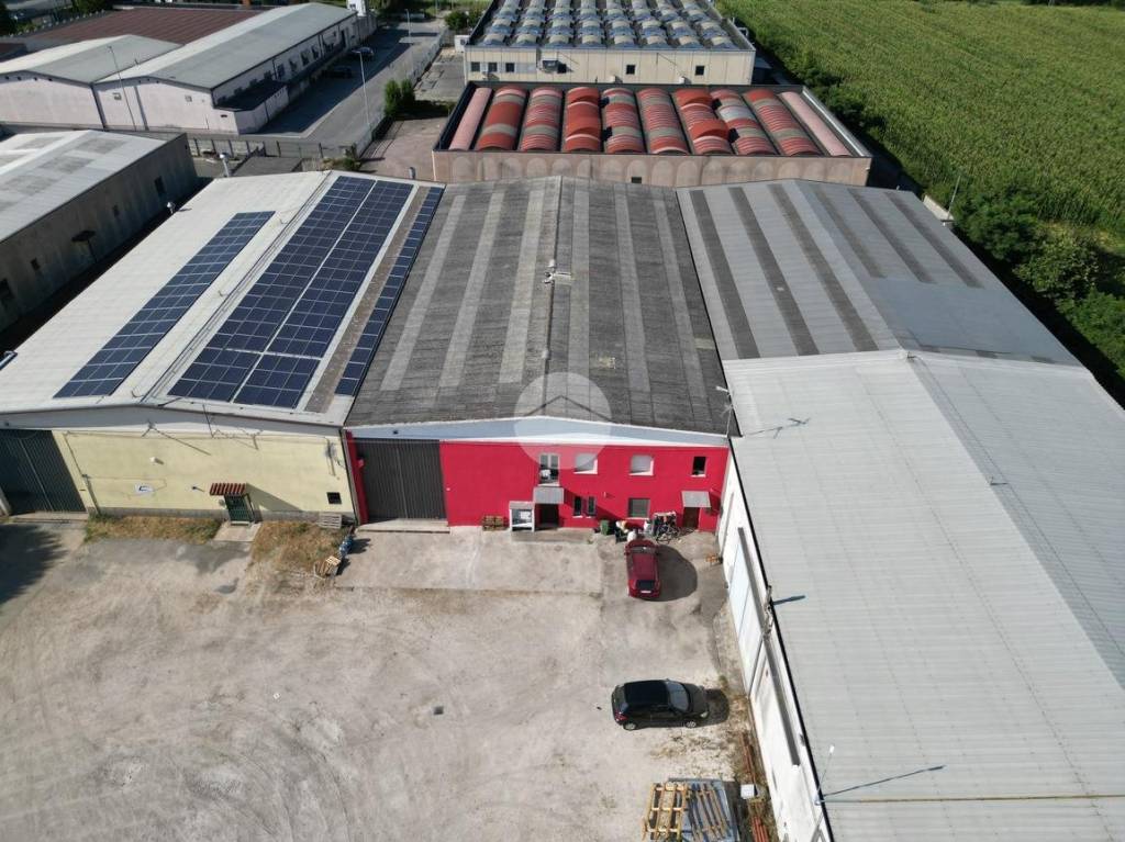 immagine annuncio 10 di 15