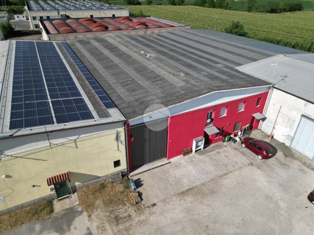 immagine annuncio 12 di 15