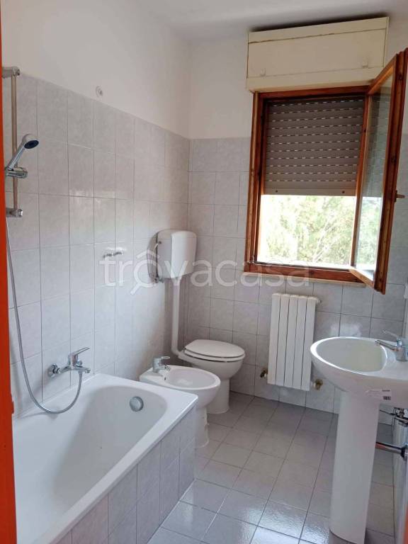 immagine annuncio 4 di 7