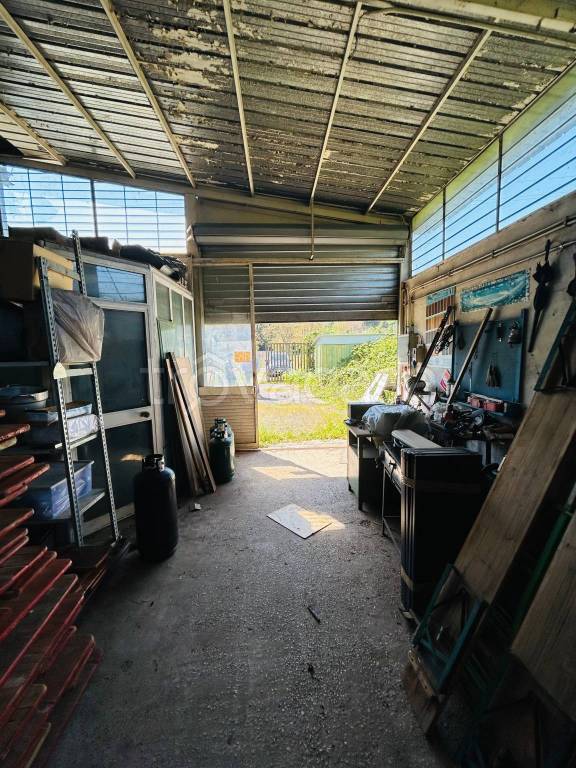 immagine annuncio 1 di 13