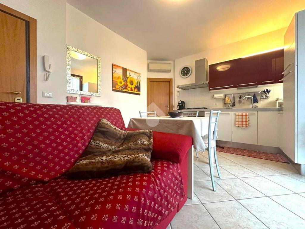 immagine annuncio 1 di 15