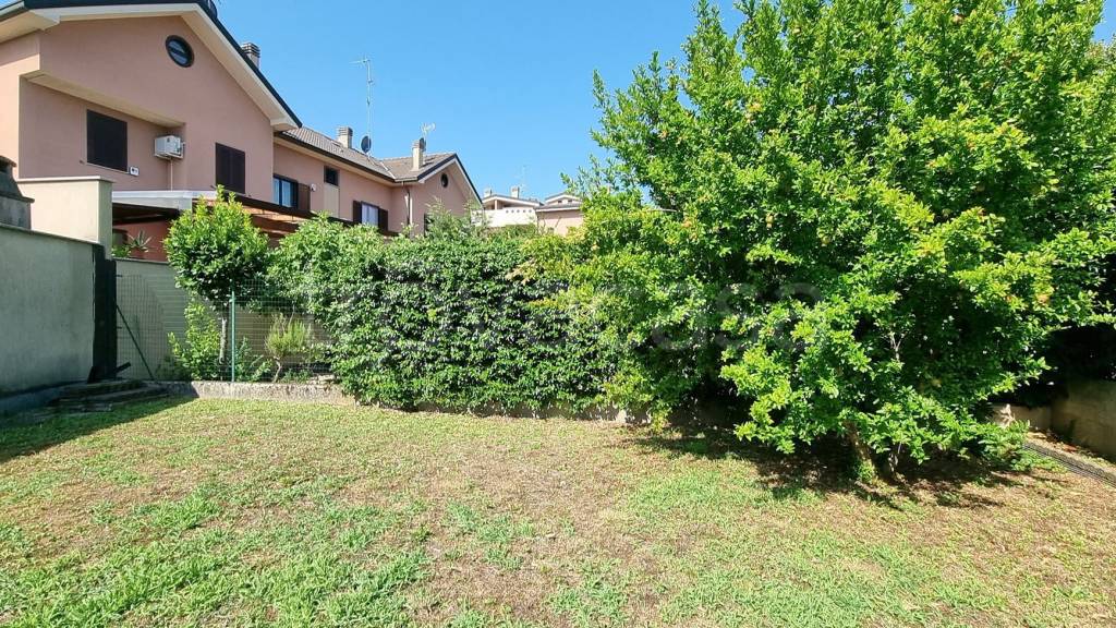 immagine annuncio 7 di 15