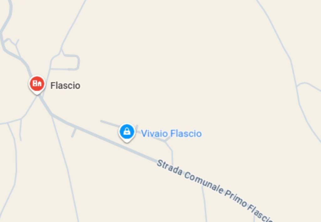 immagine annuncio 2 di 12
