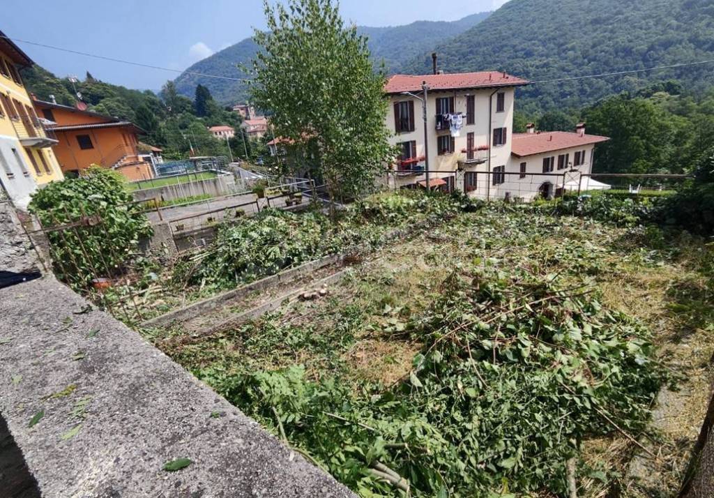 immagine annuncio 3 di 14
