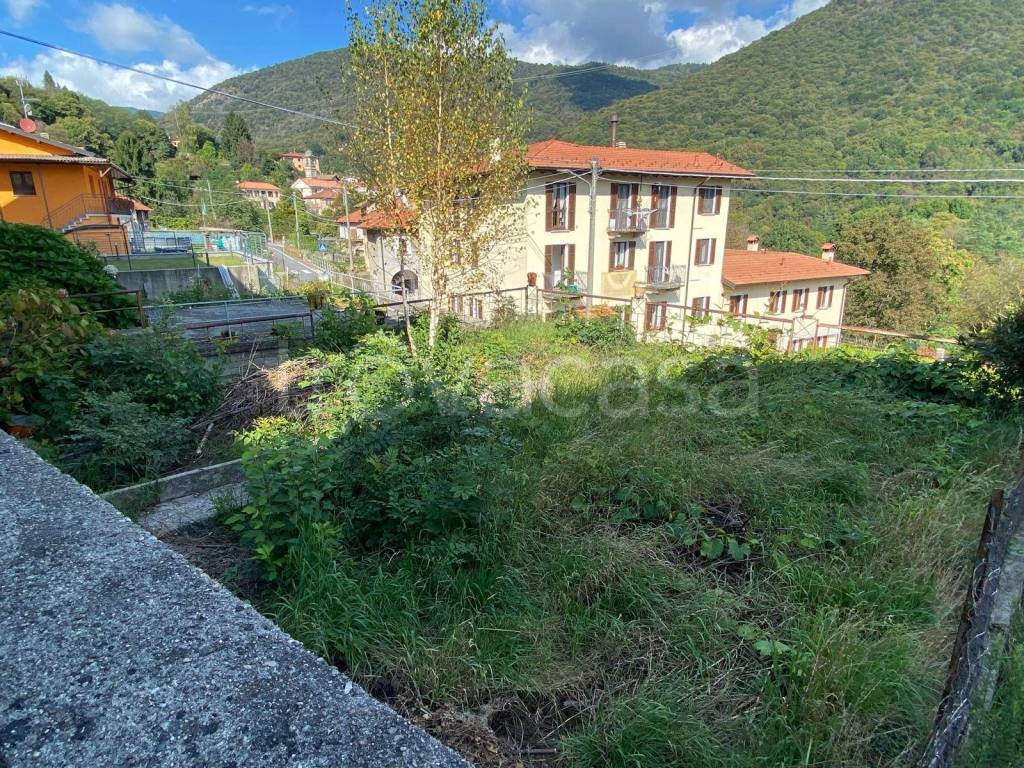 immagine annuncio 6 di 14