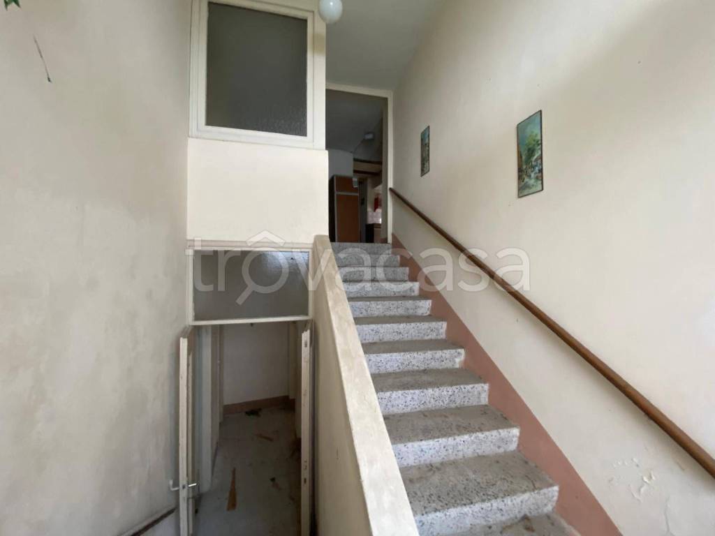 immagine annuncio 12 di 14
