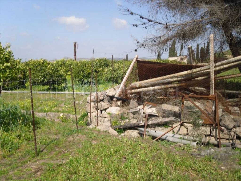 immagine annuncio 10 di 11