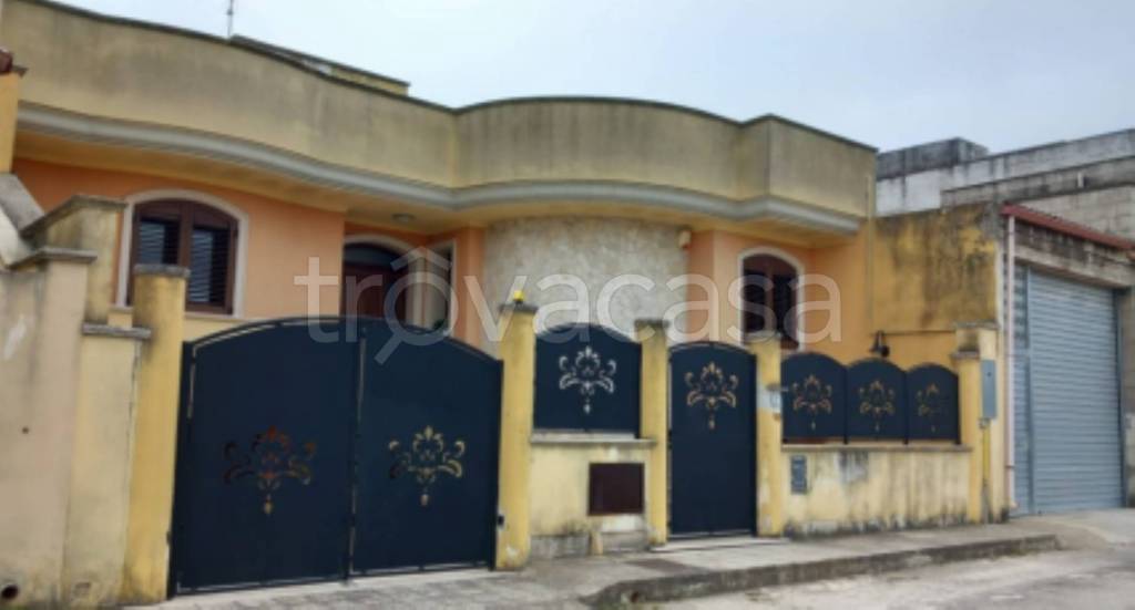 immagine annuncio 9 di 12