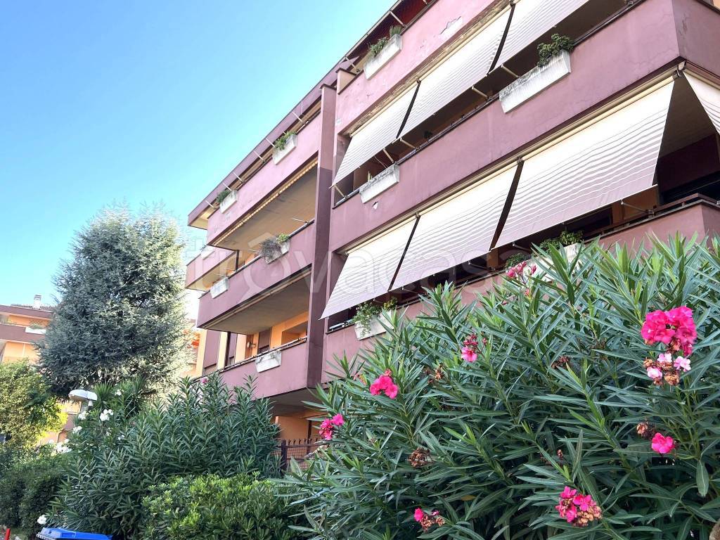 immagine annuncio 2 di 15