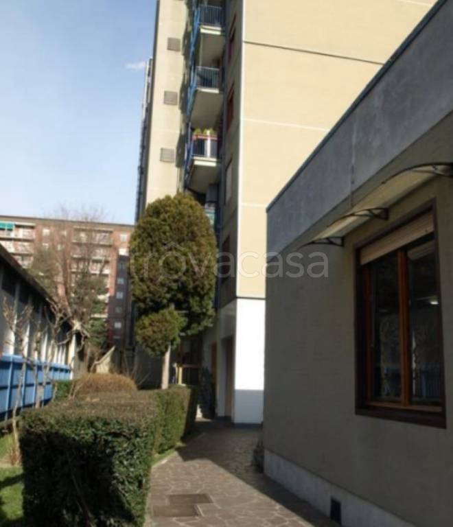 immagine annuncio 3 di 14