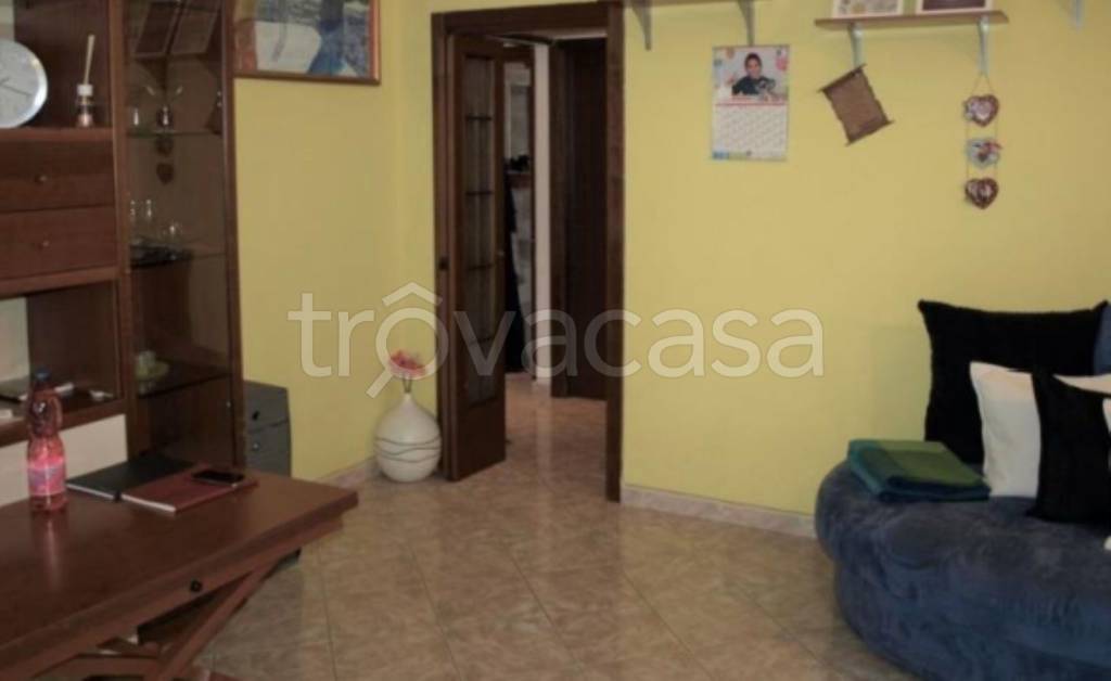 immagine annuncio 12 di 14