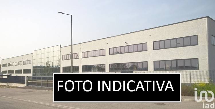 immagine annuncio 1 di 7