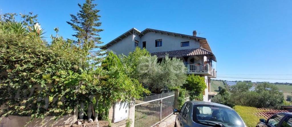 immagine annuncio 9 di 14