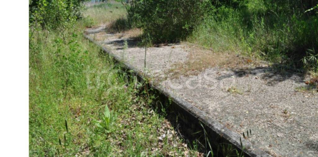 immagine annuncio 11 di 14