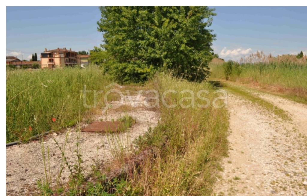 immagine annuncio 12 di 14