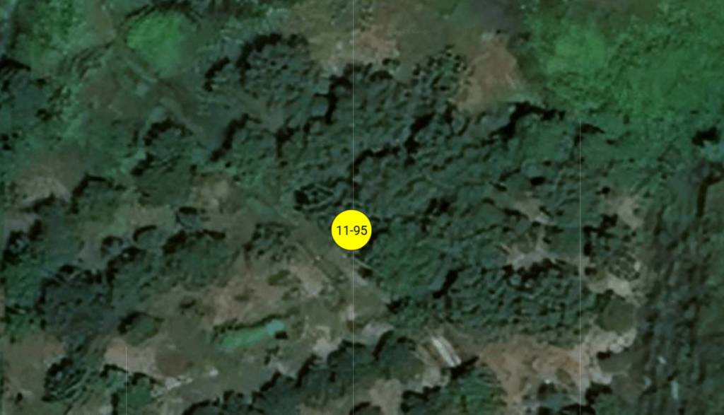 immagine annuncio 1 di 11