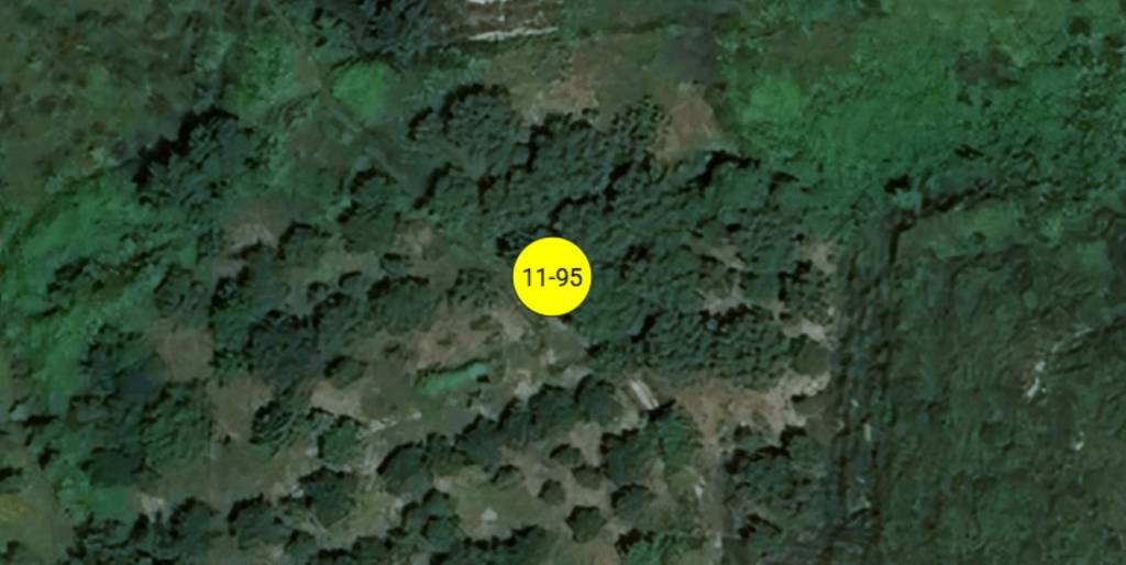 immagine annuncio 8 di 11