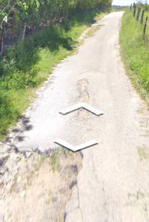 immagine annuncio 10 di 11