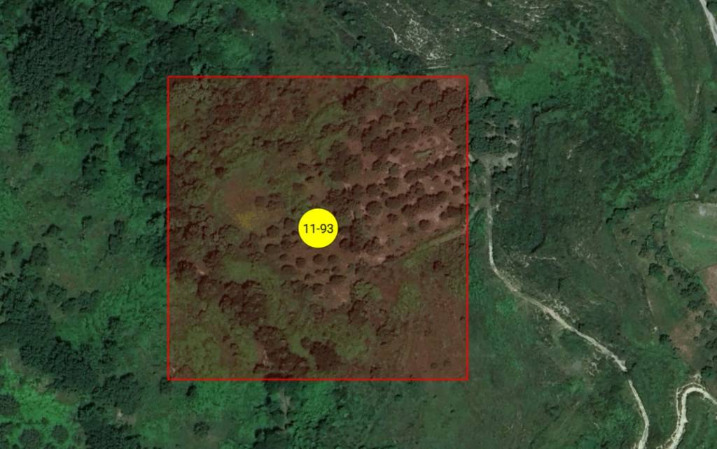 immagine annuncio 3 di 11