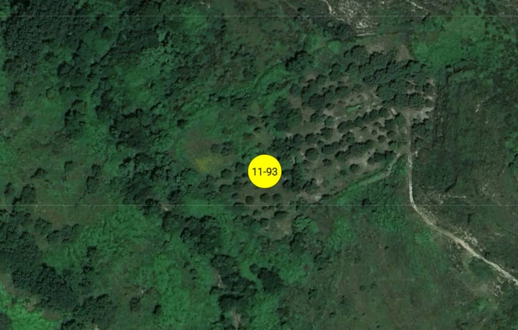 immagine annuncio 7 di 11