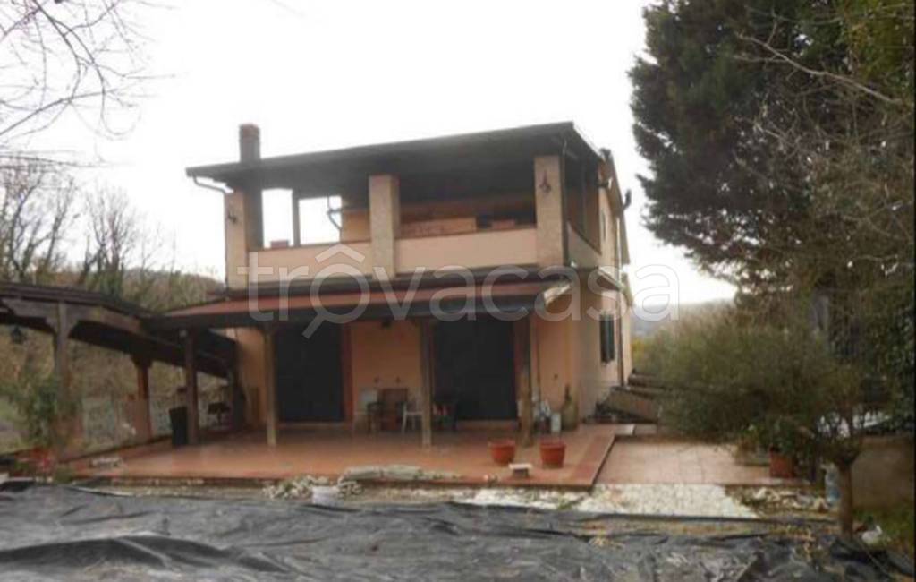 immagine annuncio 4 di 13