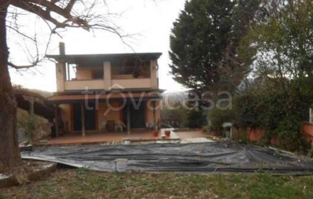 immagine annuncio 6 di 13