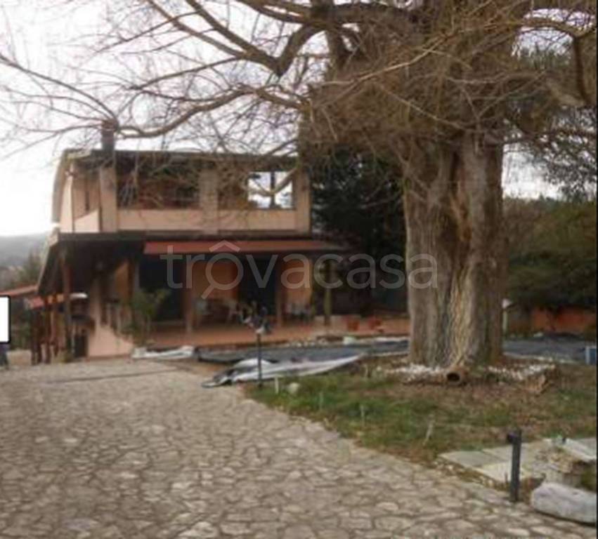 immagine annuncio 8 di 13